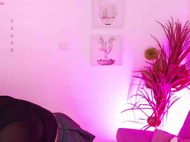 Zaradavis webcam