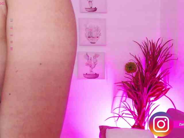 Zaradavis webcam
