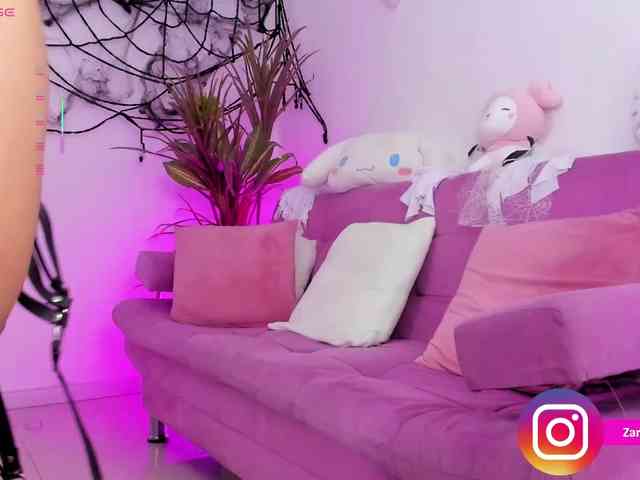 Zaradavis webcam