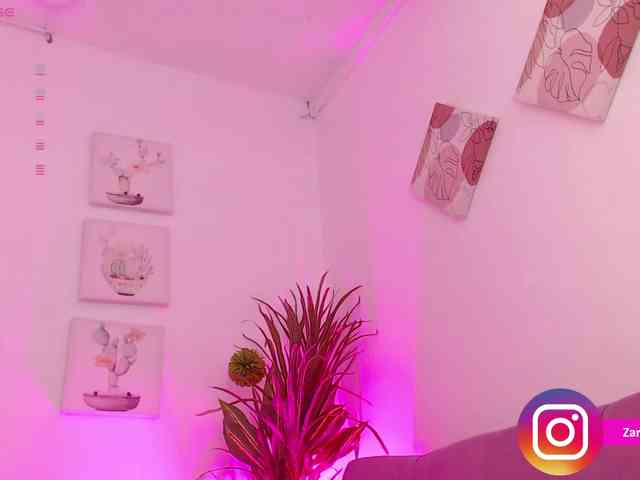 Zaradavis webcam