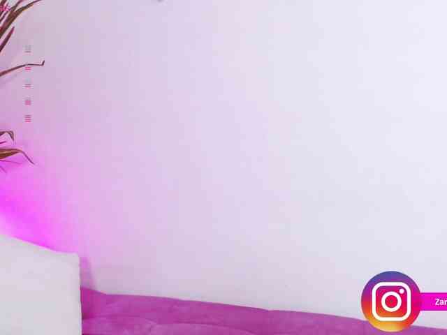 Zaradavis webcam