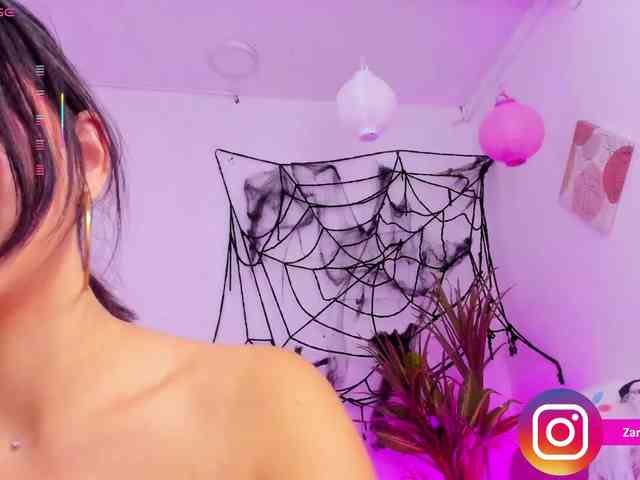 Zaradavis webcam