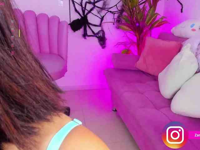 Zaradavis webcam