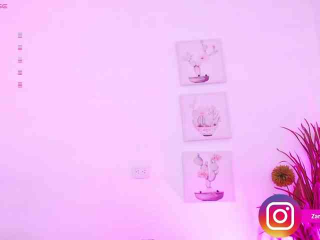 Zaradavis webcam