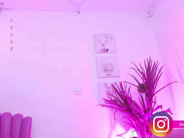 Zaradavis webcam