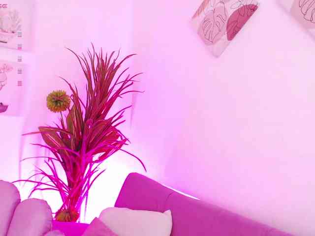 Zaradavis webcam