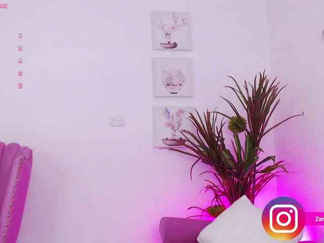 Zaradavis webcam
