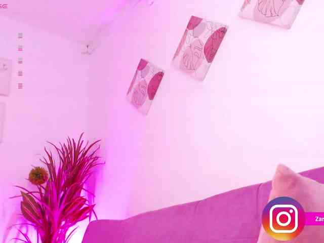 Zaradavis webcam