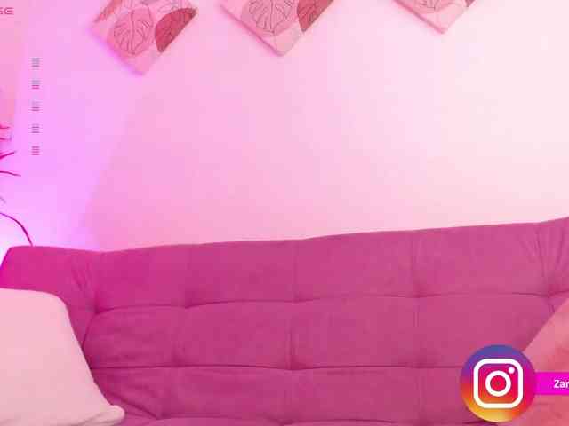 Zaradavis webcam
