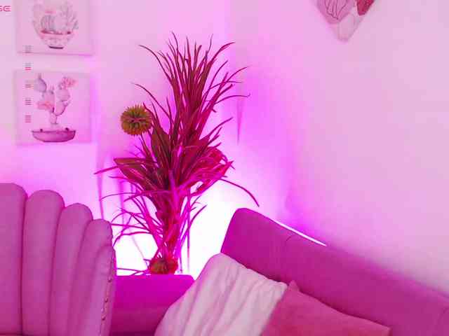 Zaradavis webcam