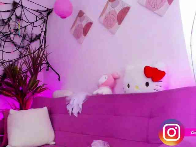 Zaradavis webcam