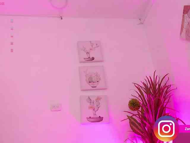 Zaradavis webcam