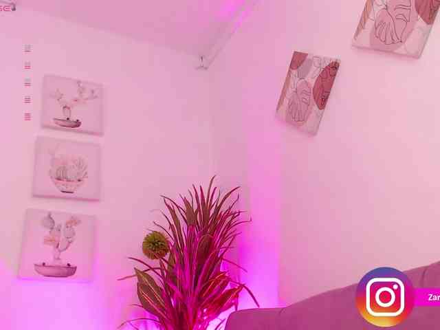 Zaradavis webcam