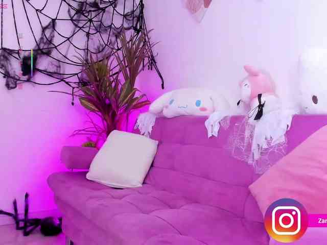Zaradavis webcam