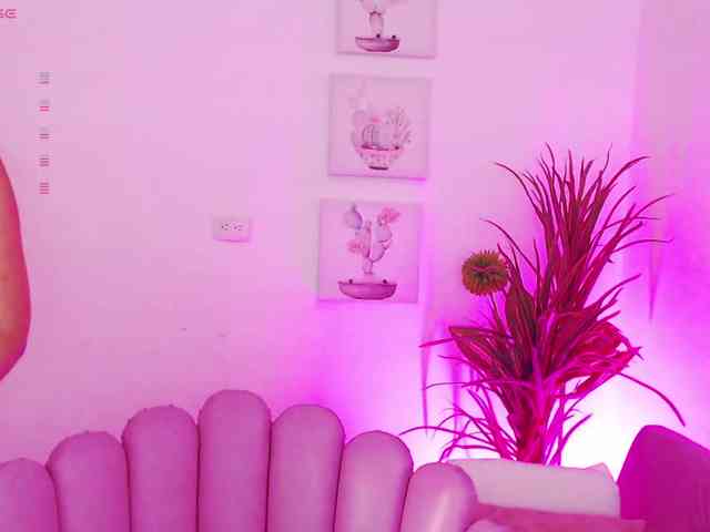 Zaradavis webcam