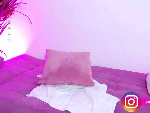 Zaradavis webcam