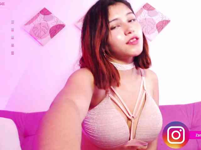 Zaradavis webcam