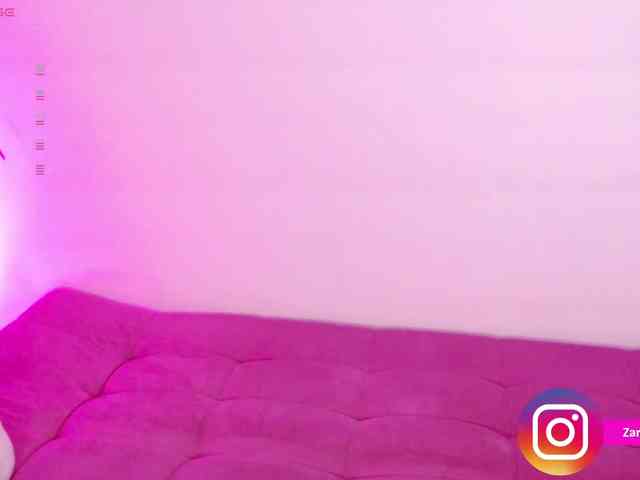Zaradavis webcam