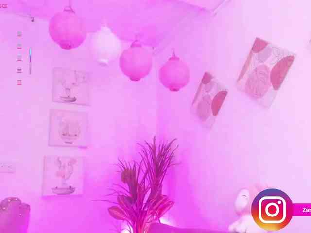 Zaradavis's webcam live show