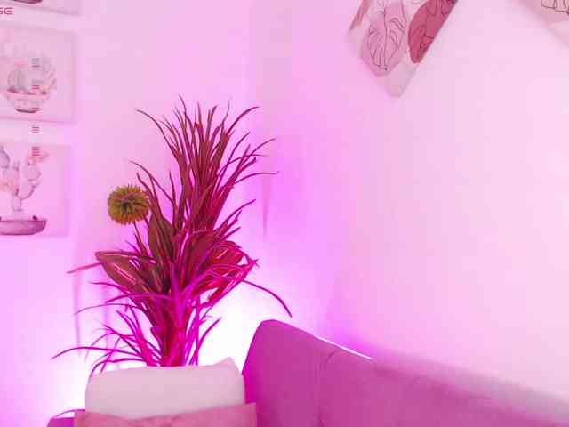 Zaradavis webcam