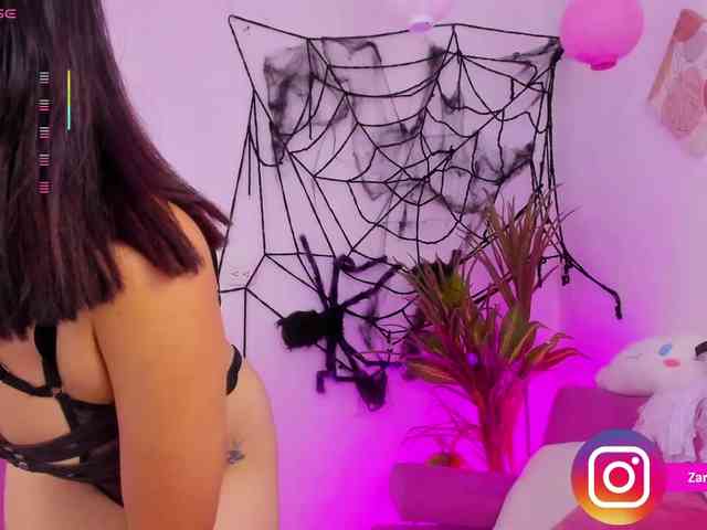 Zaradavis webcam
