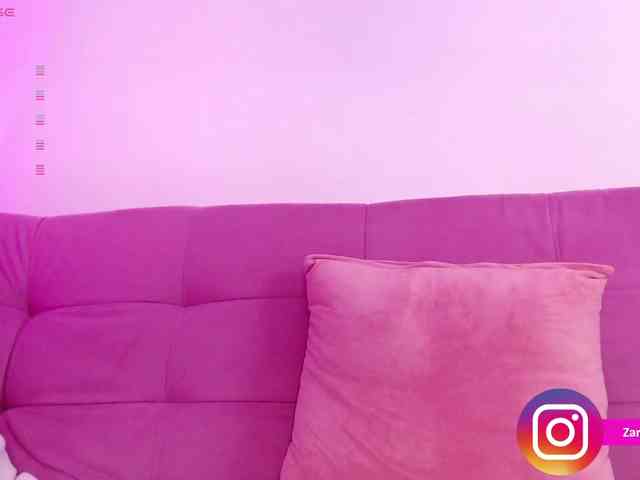 Zaradavis webcam