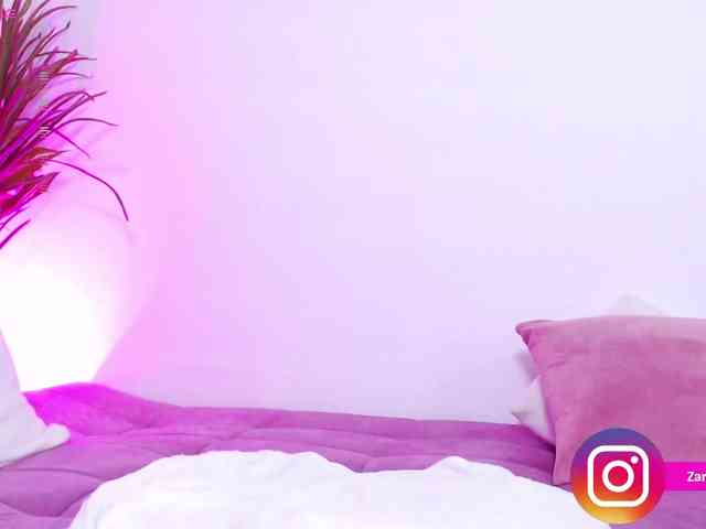 Zaradavis webcam