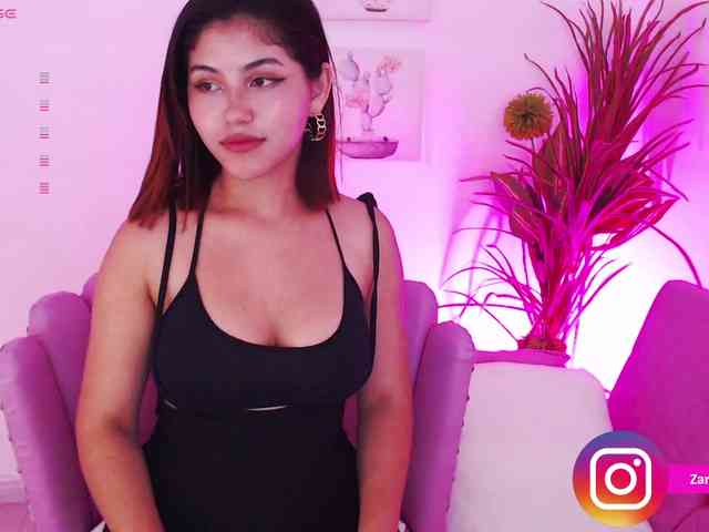 Zaradavis webcam