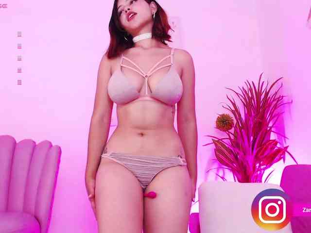 Zaradavis webcam