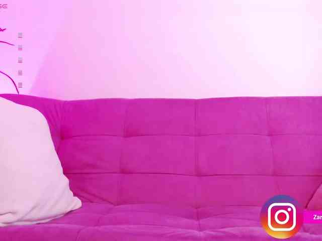 Zaradavis webcam