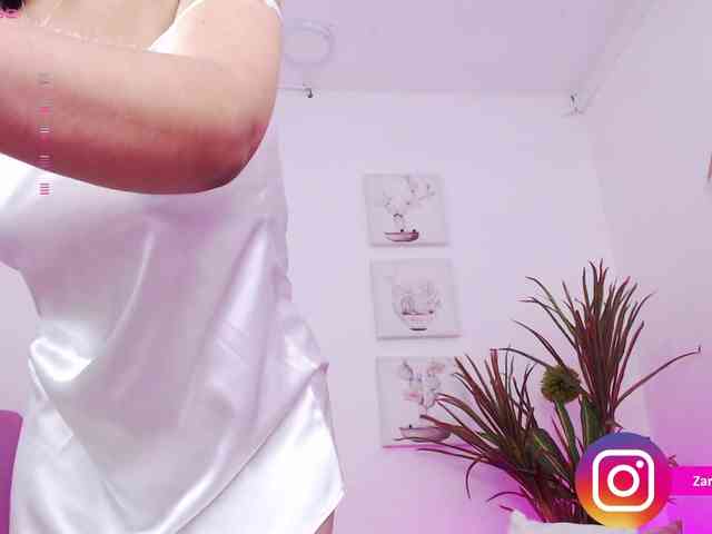 Zaradavis webcam