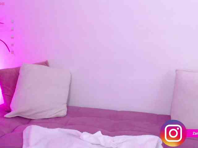 Zaradavis webcam