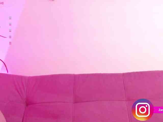 Zaradavis webcam