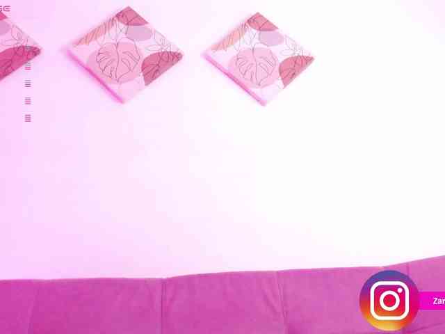 Zaradavis webcam