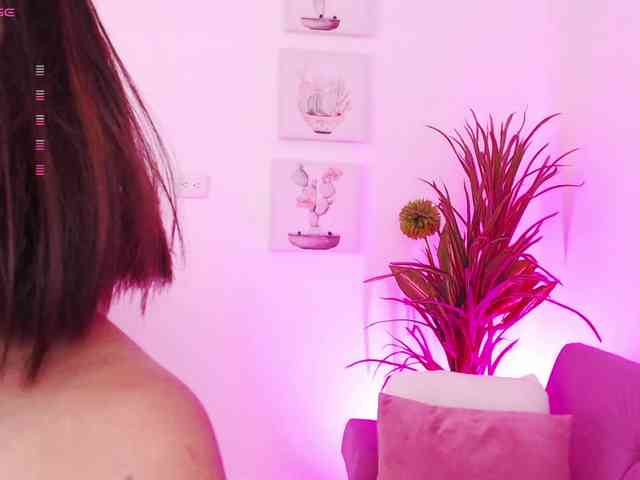 Zaradavis webcam