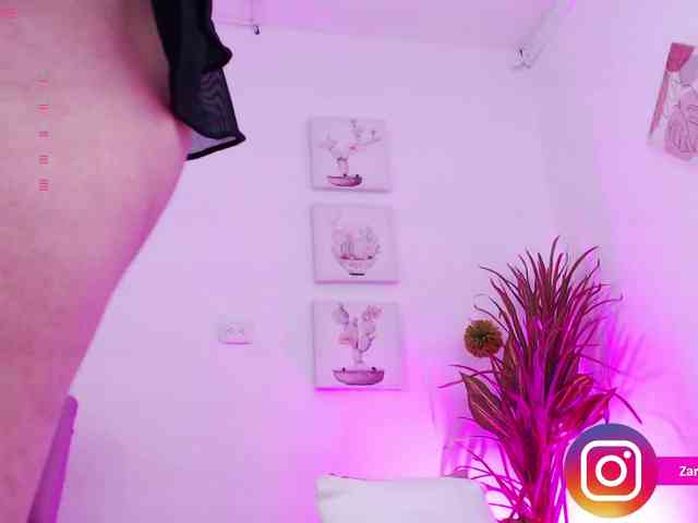 Zaradavis webcam
