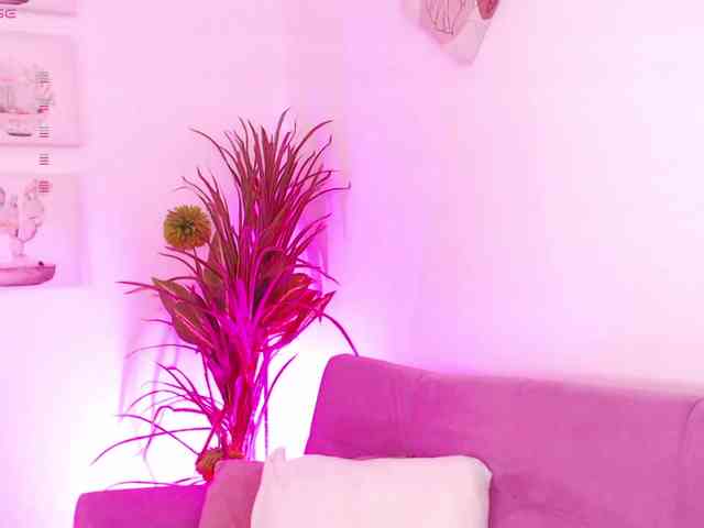 Zaradavis webcam