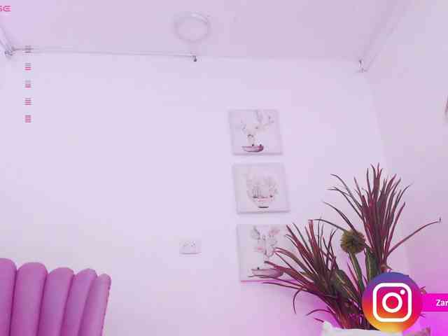 Zaradavis webcam