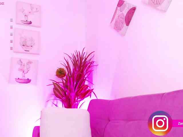 Zaradavis webcam