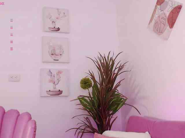 Zaradavis webcam