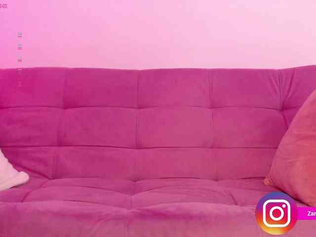 Zaradavis webcam