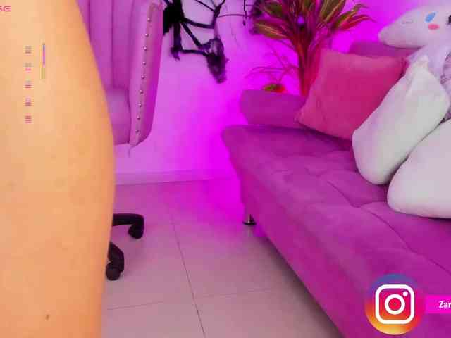 Zaradavis webcam