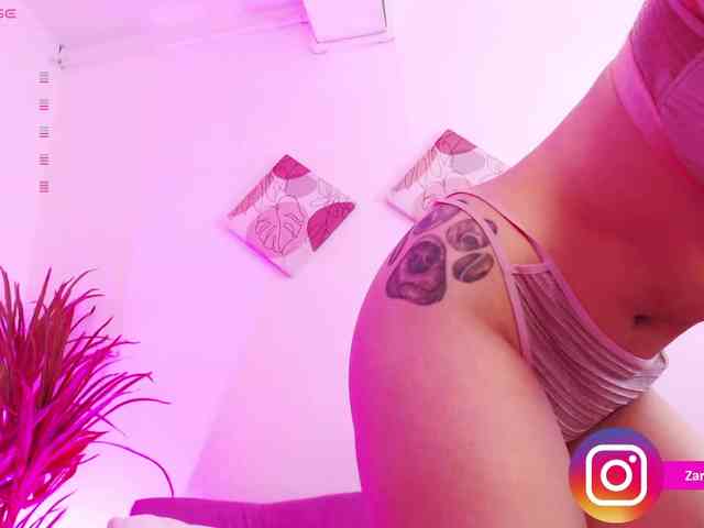 Zaradavis webcam