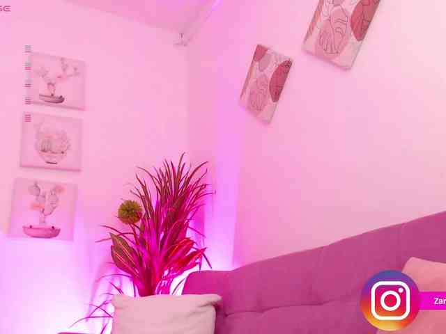 Zaradavis webcam