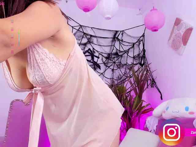 Zaradavis webcam