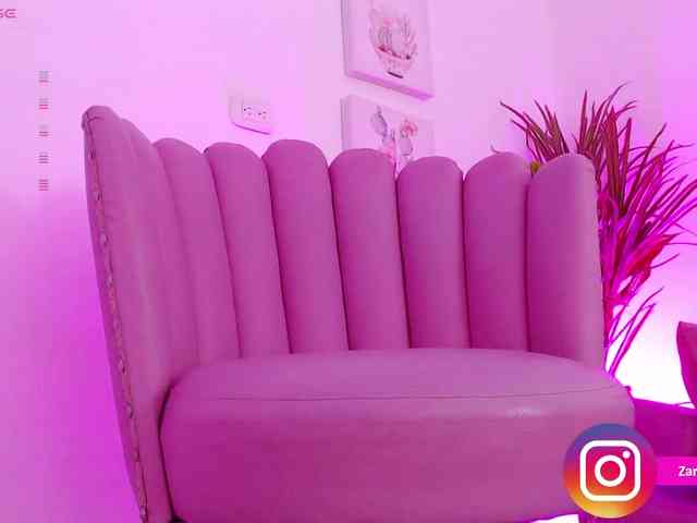 Zaradavis webcam