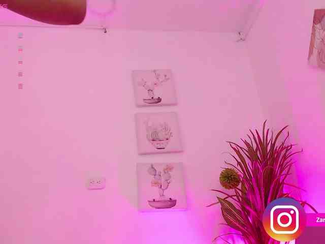 Zaradavis webcam