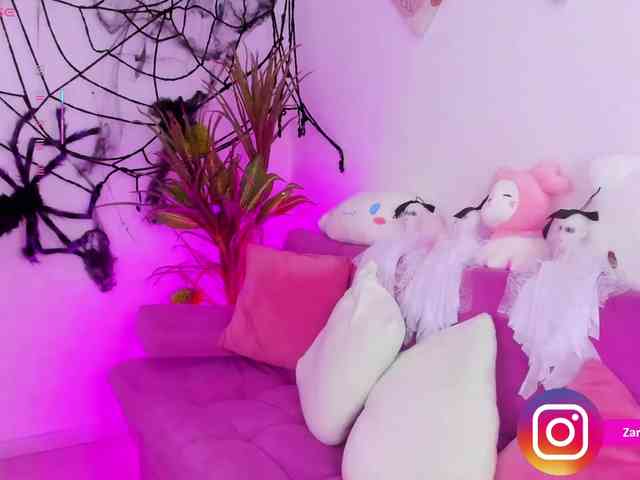 Zaradavis webcam