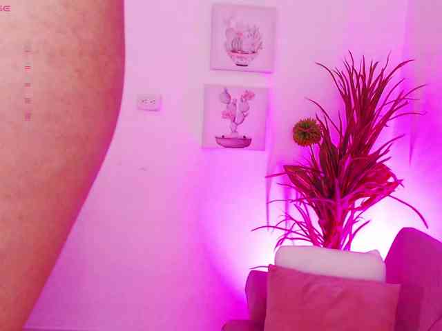 Zaradavis webcam