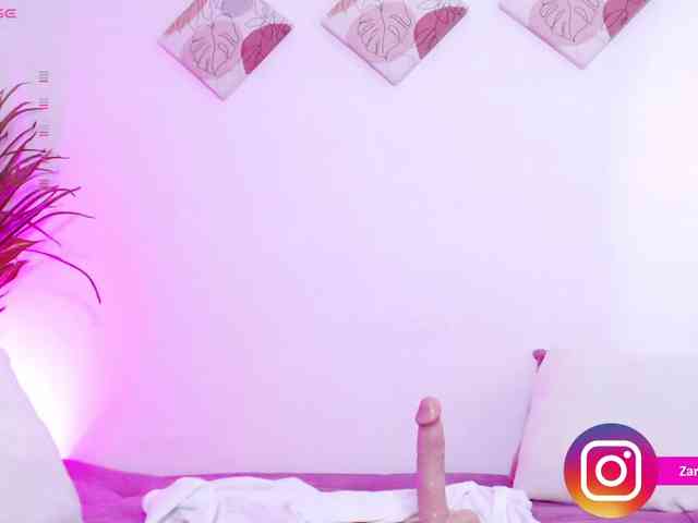 Zaradavis webcam